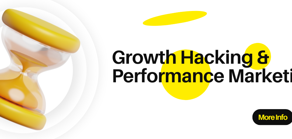 Growth Hacking and Performance Marketing